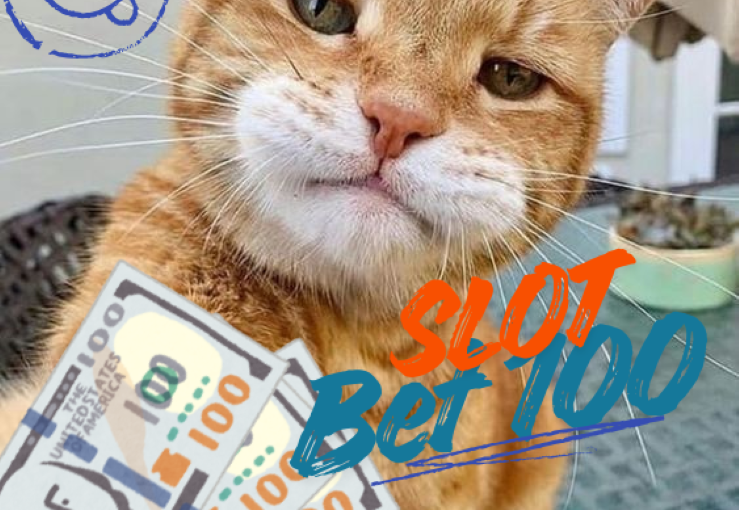 Cara Bermain Slot Bet 100 Agar Tidak Cepat Kehabisan Modal